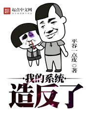 我的系统造反了封面