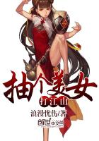 抽个美女打江山封面