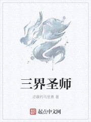 三界圣师封面